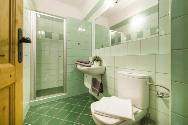 koupelna apartman radunka obklady zelena kvetina rucnik zachod sprcha zrcadlo prodej domu radun linda bittova